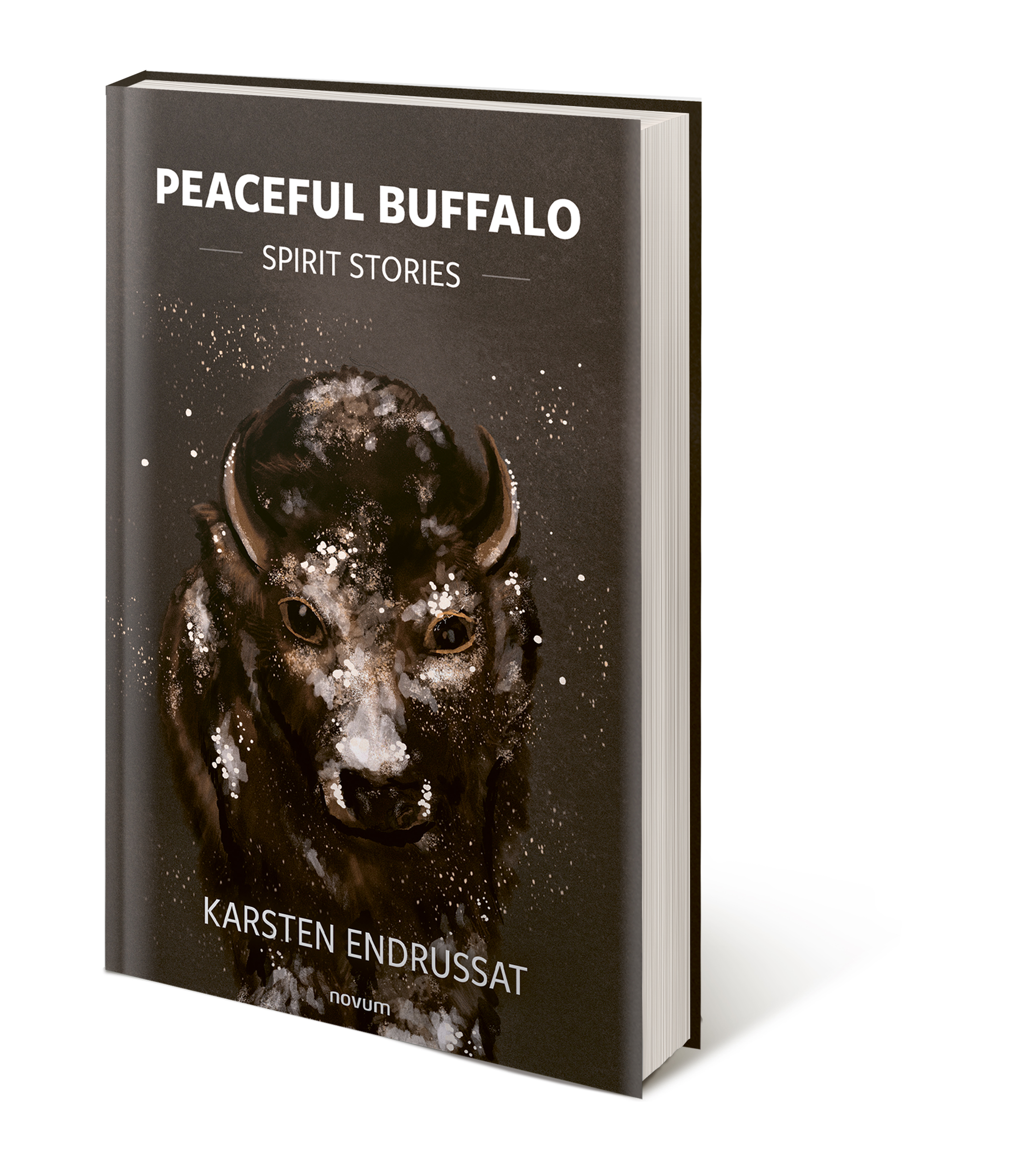 Buch Vorschau