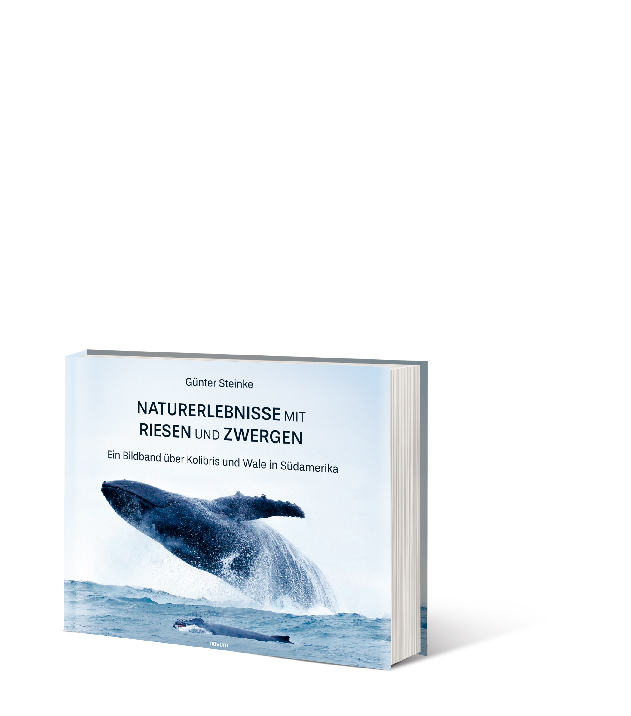 Buch Vorschau