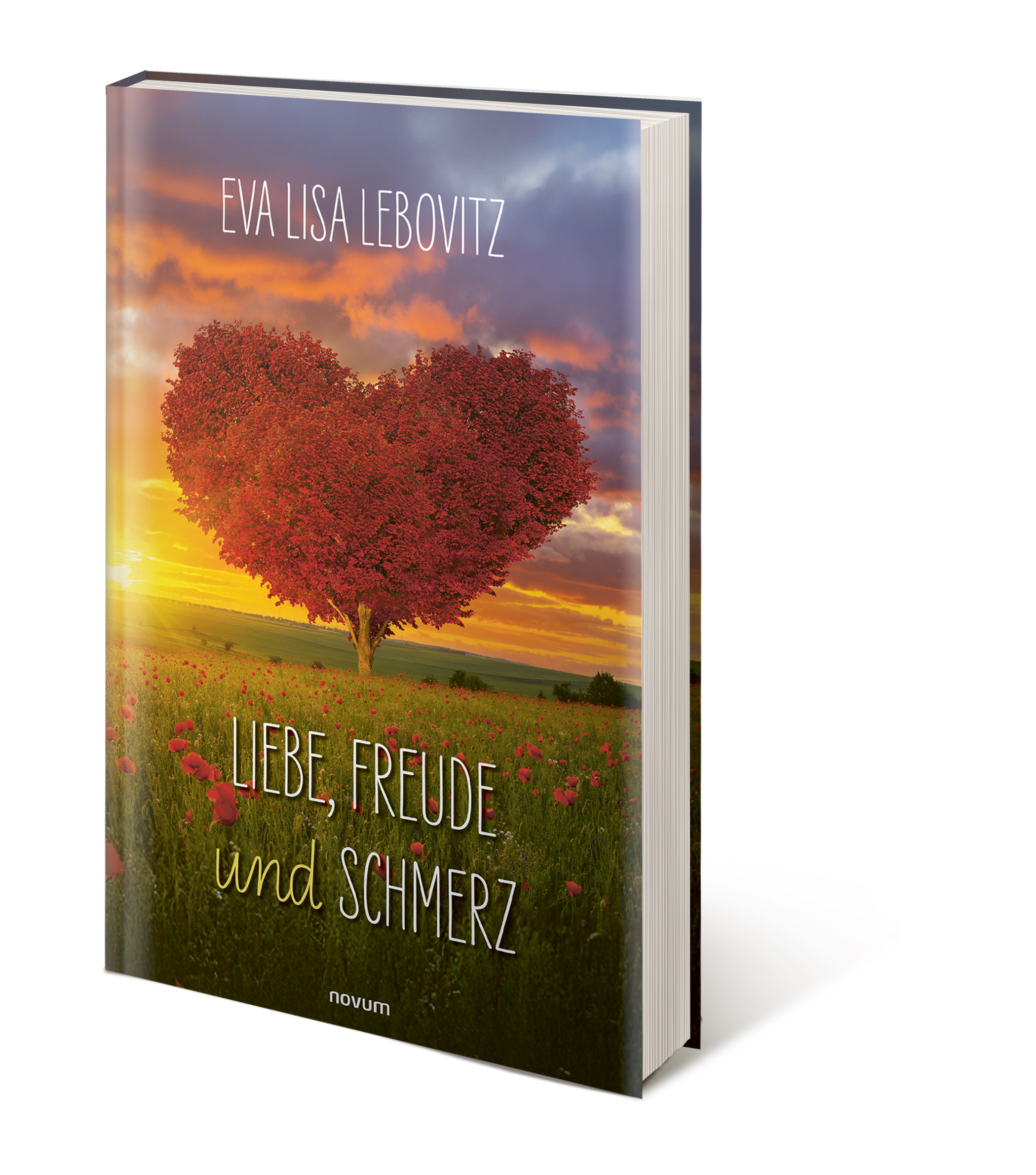 Buch Vorschau