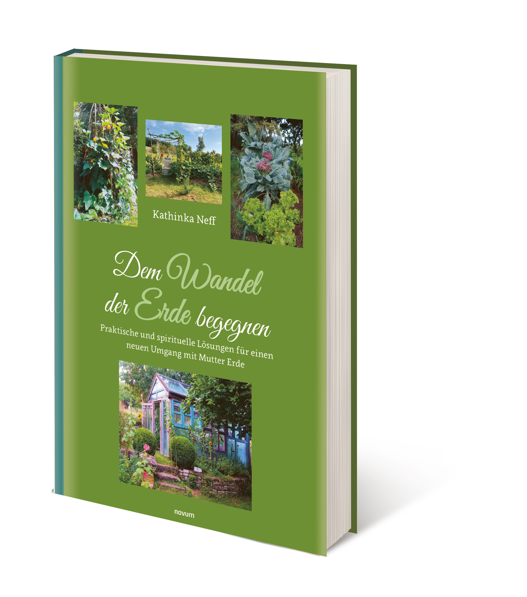 Buch Vorschau