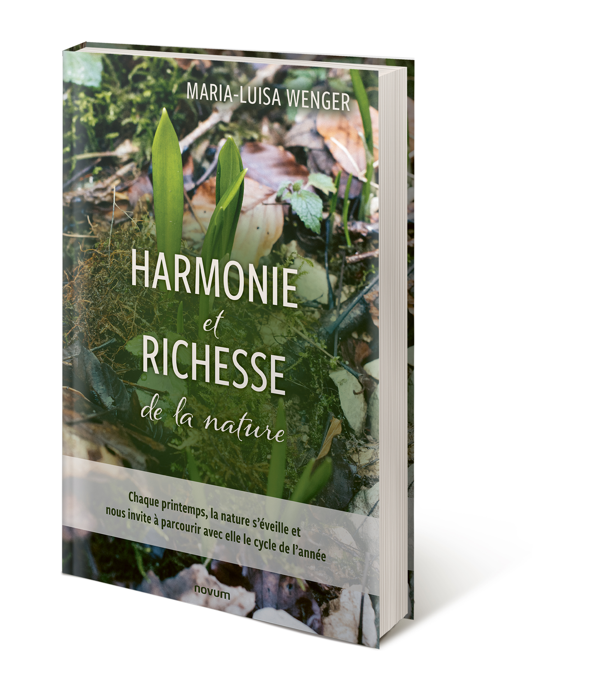 Buch Vorschau