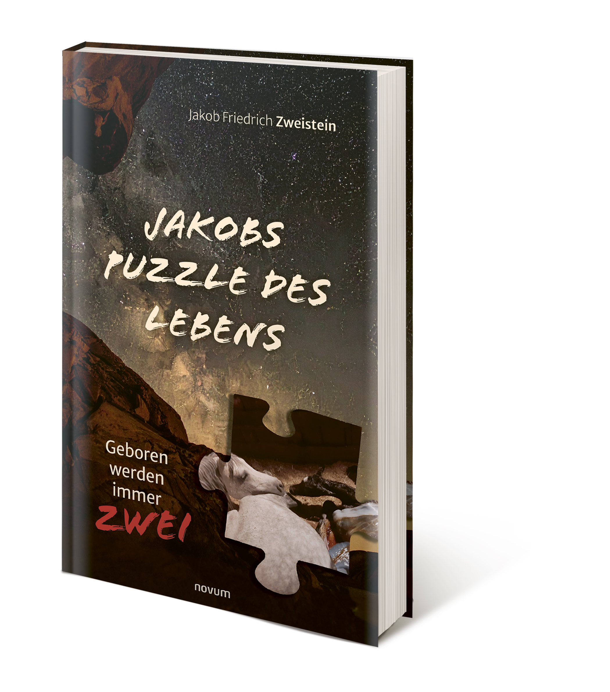 Buch Vorschau